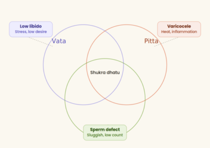 tridosha-condition-male-infertility